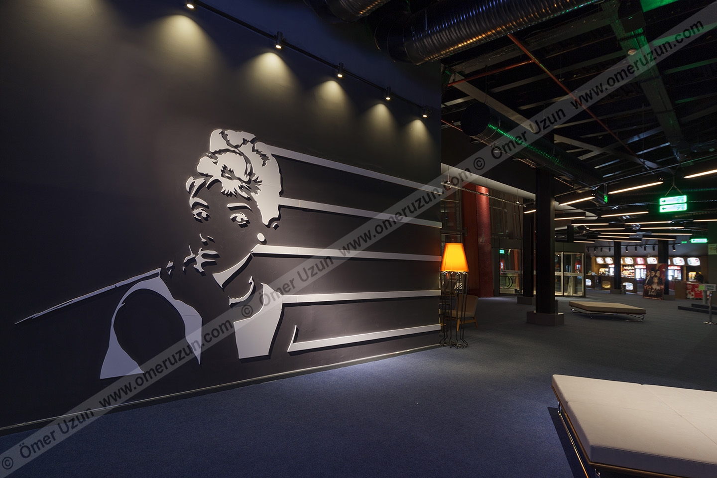 Ankara Gordion Movie Theater wall decor detail