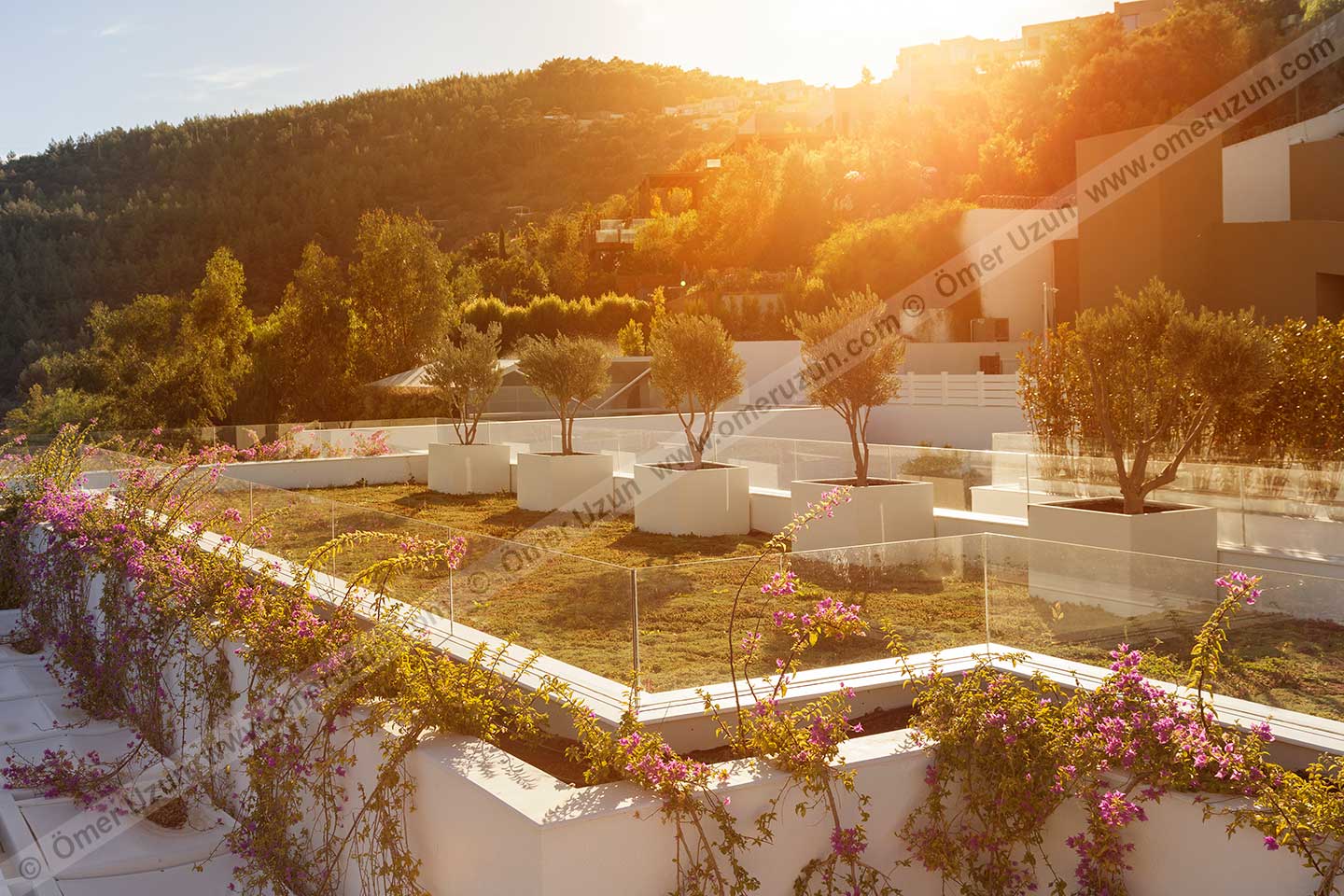 Il Riccio Beach House Hotel Garden Sunlight